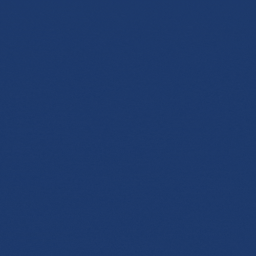 Moithuti Intelligence